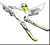 Ski Gull