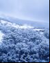 thredbo