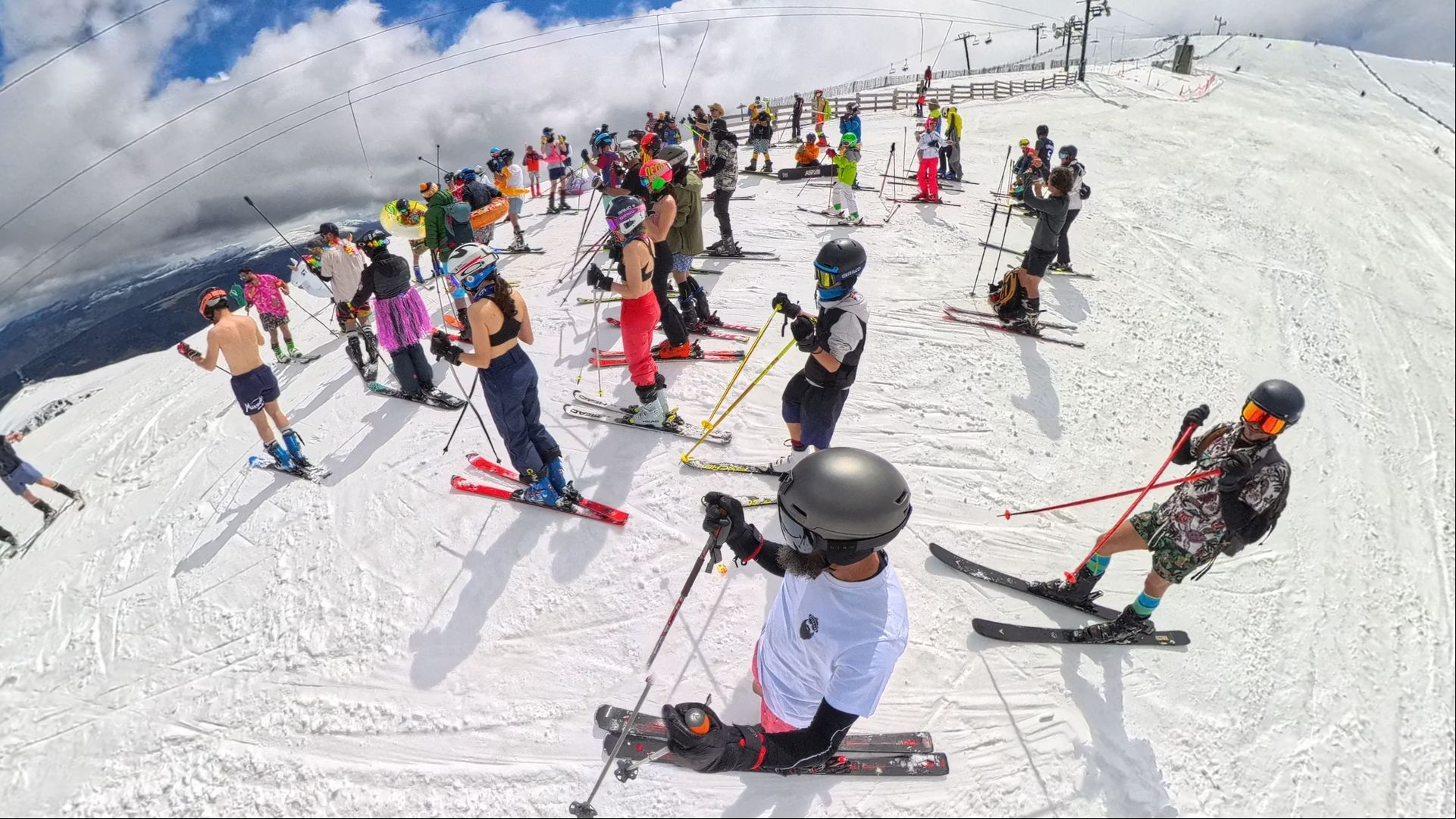 Masella