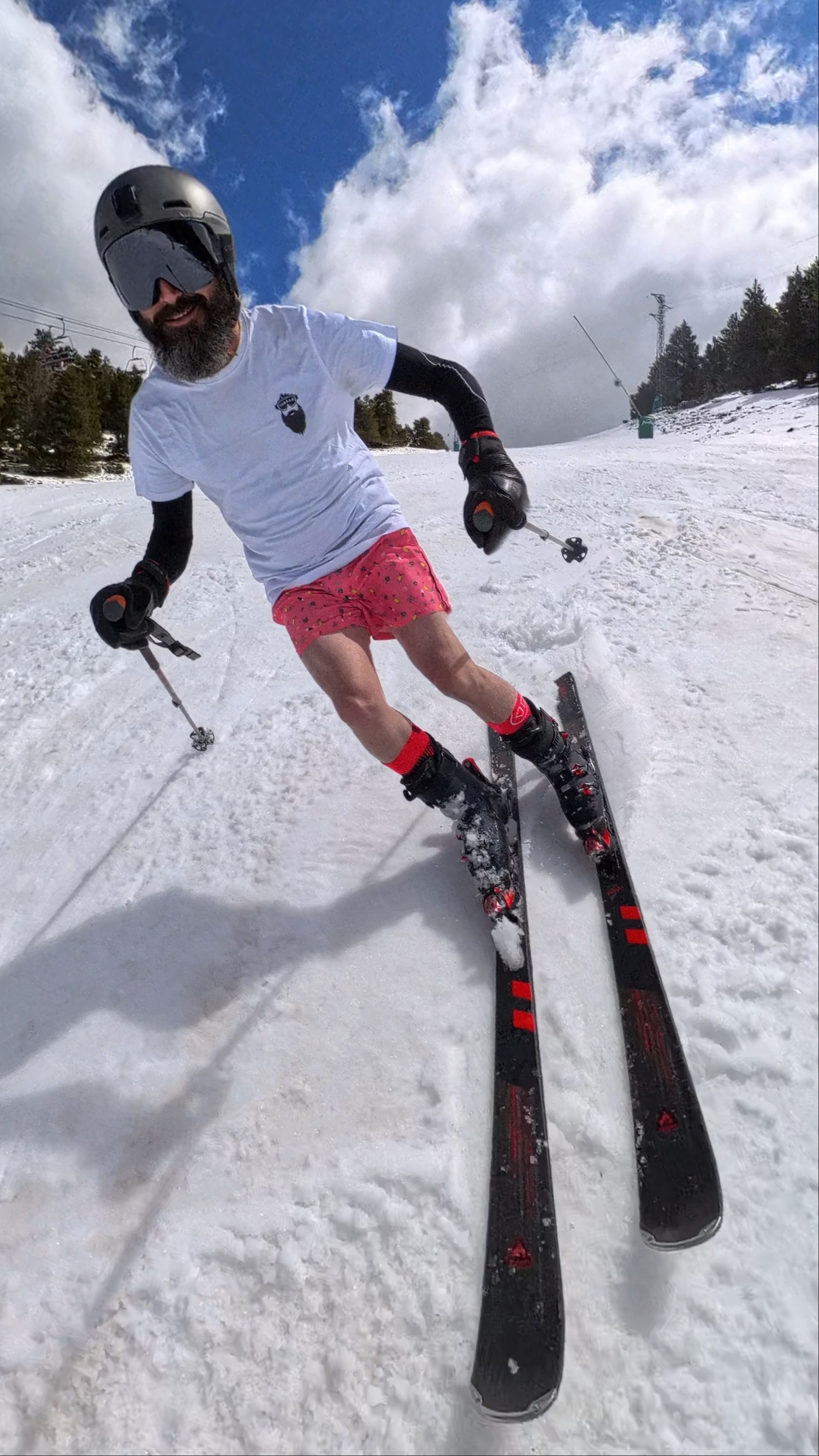 Masella