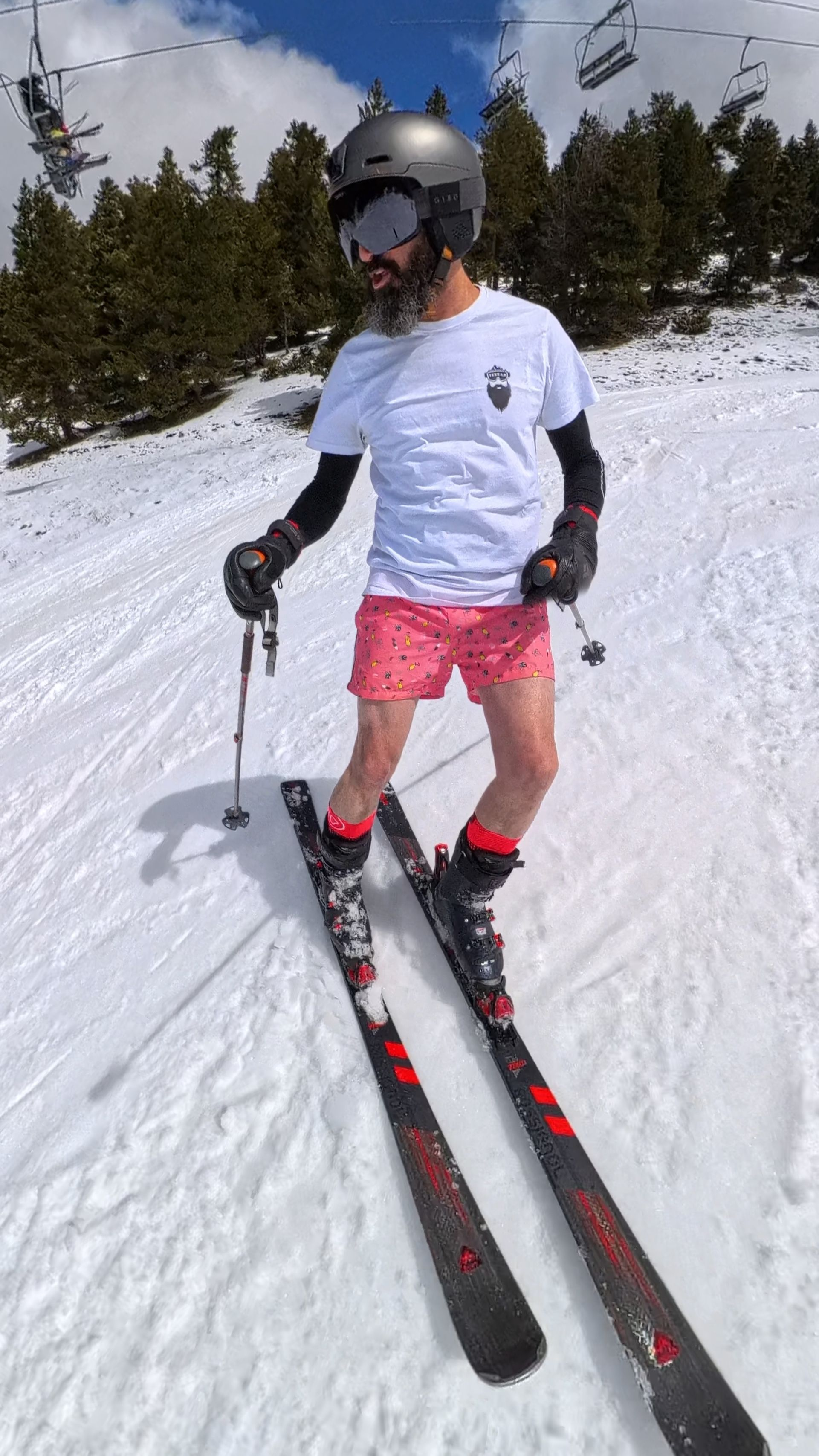 Masella